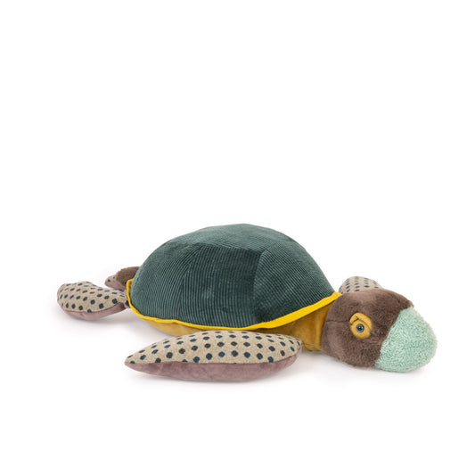 Tortuga grande