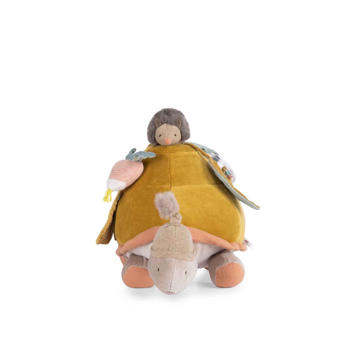 Tortuga de actividades