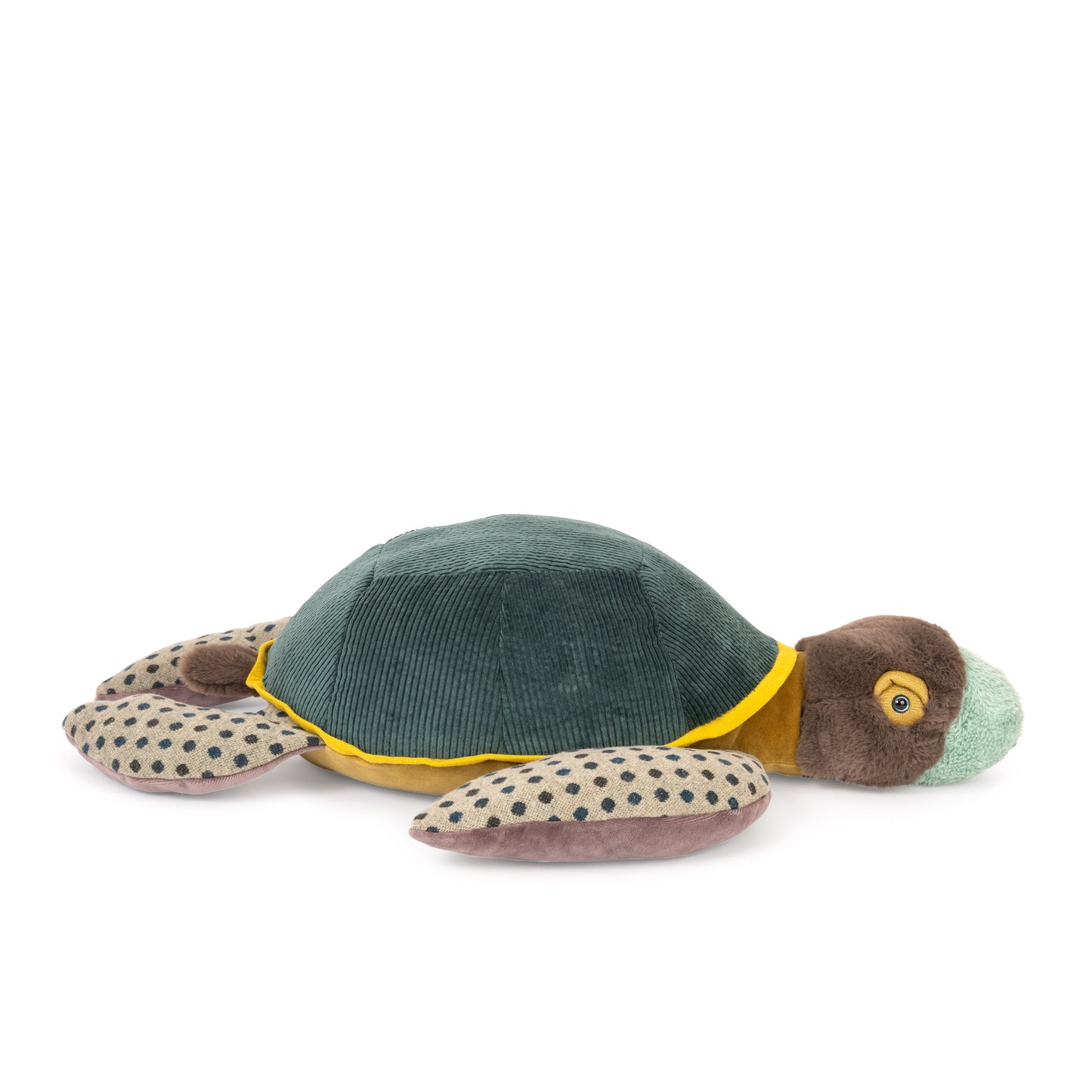 Tortuga grande