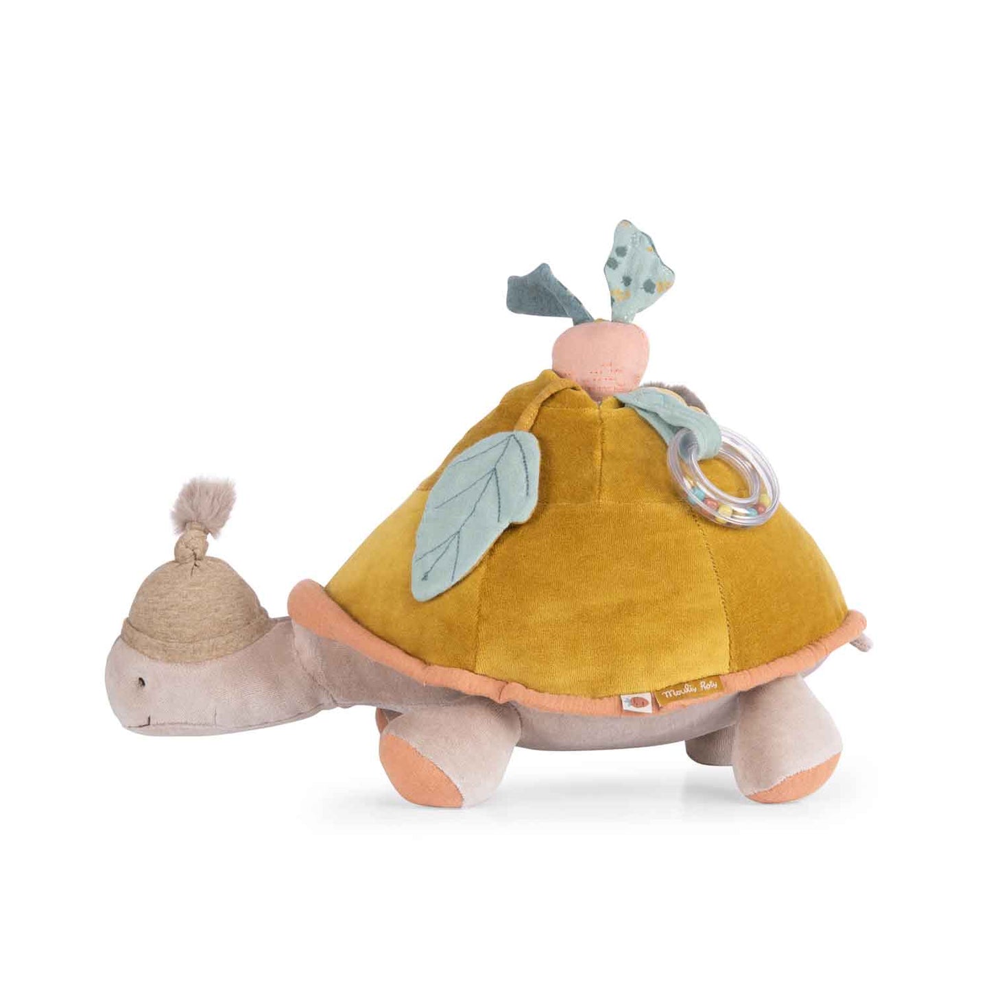 Tortuga de actividades