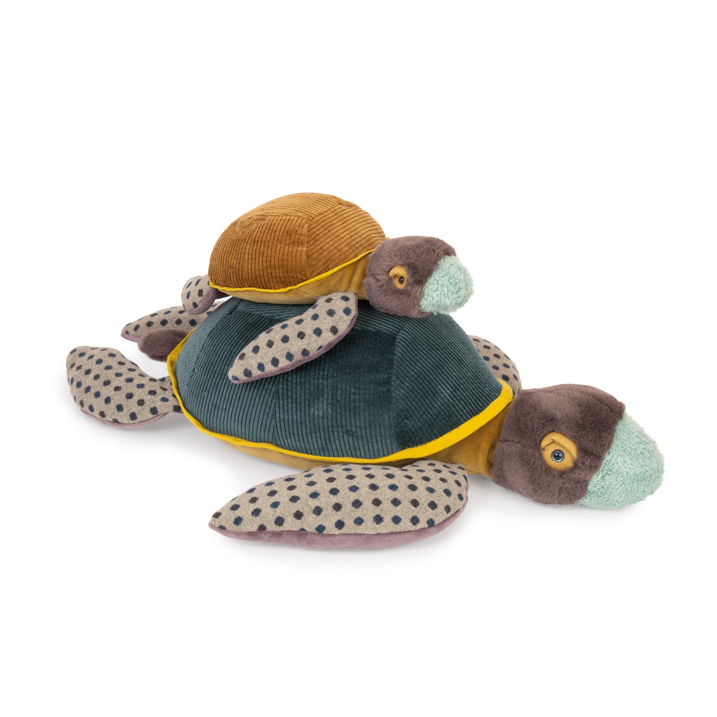 Tortuga grande