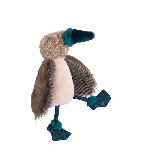 Pájaro loco de patas azules